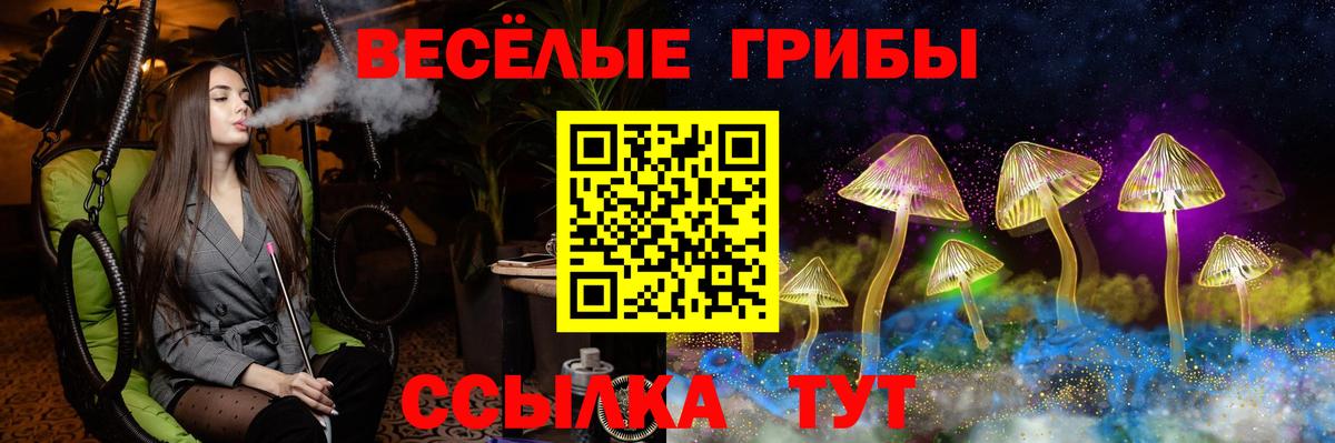 Галлюциногенные грибы Psilocybine cubensis Саратов
