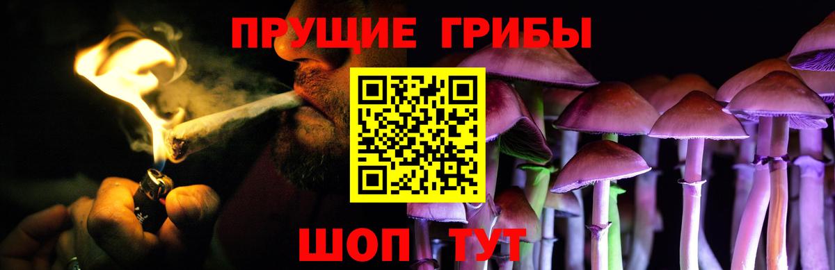 Галлюциногенные грибы Cubensis  Галлюциногенные грибы мухоморы  Вход с VPN  Саратов 